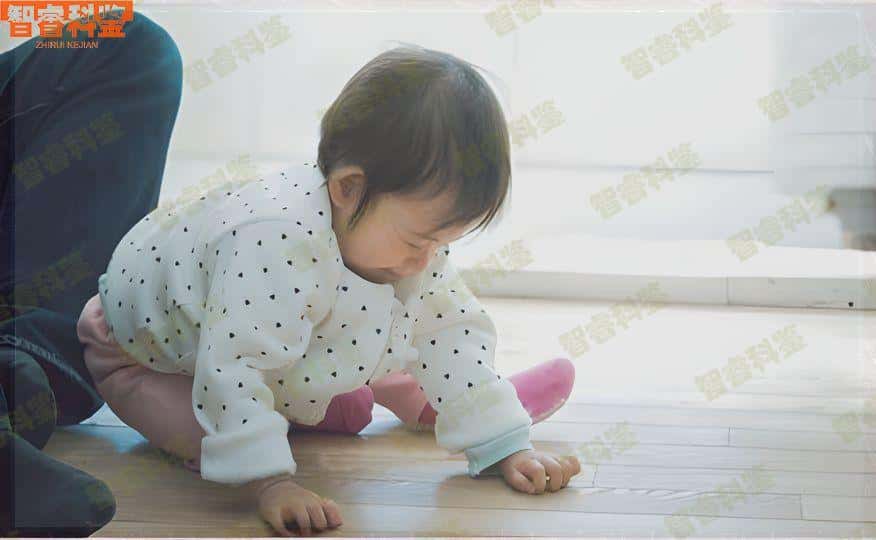 公主岭6家亲子鉴定中心、机构一览