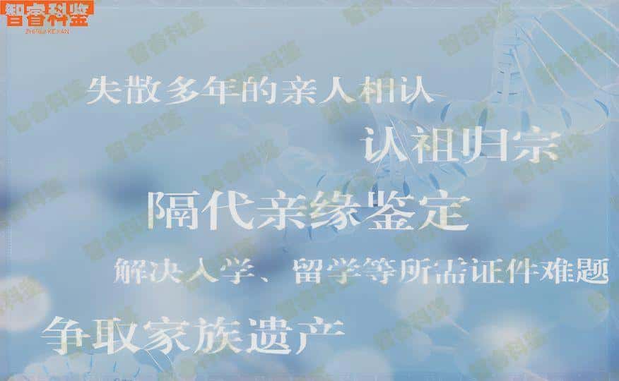 梨树县个人亲子鉴定结果是多少才是亲生 | 金康网