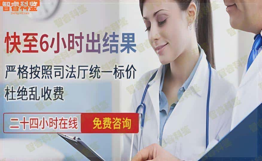 四平梨树县鉴定中心机构