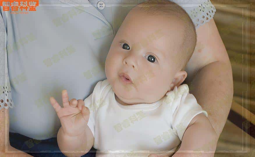 锦州做亲子鉴定需要提供什么手续，亲子鉴定需要什么证件