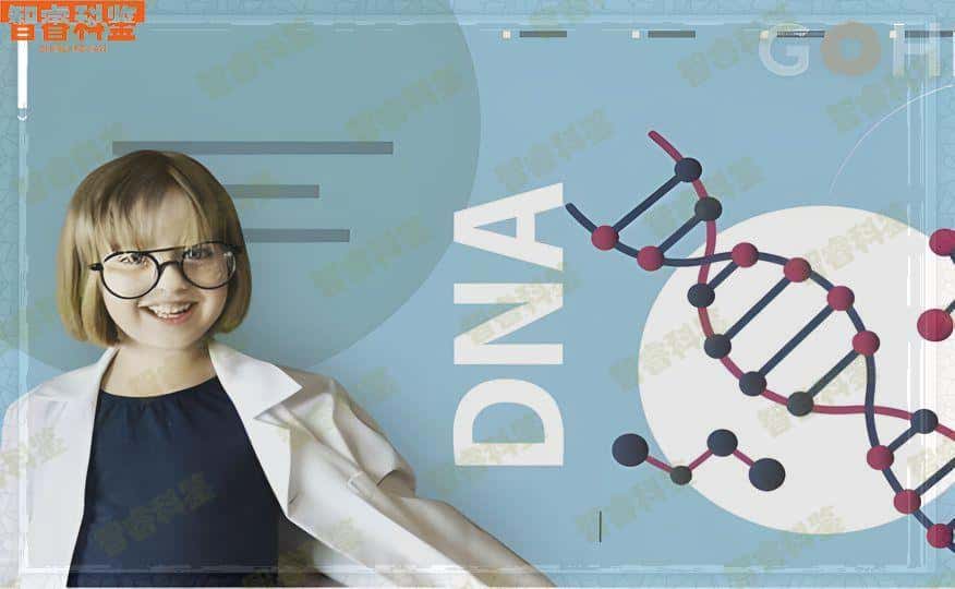 庄河dna亲子鉴定机构