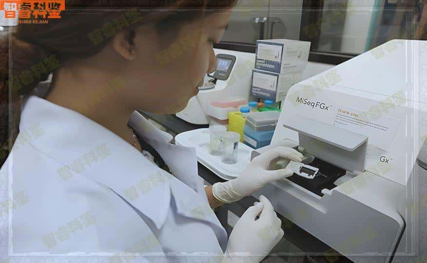 铁岭开原市做兄弟姐妹亲缘亲子鉴定的机构