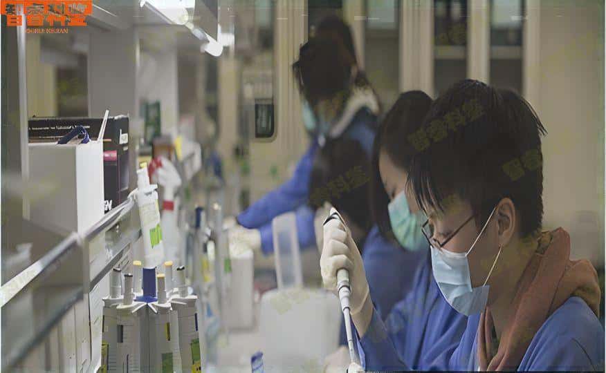 通辽亲子鉴定多少钱