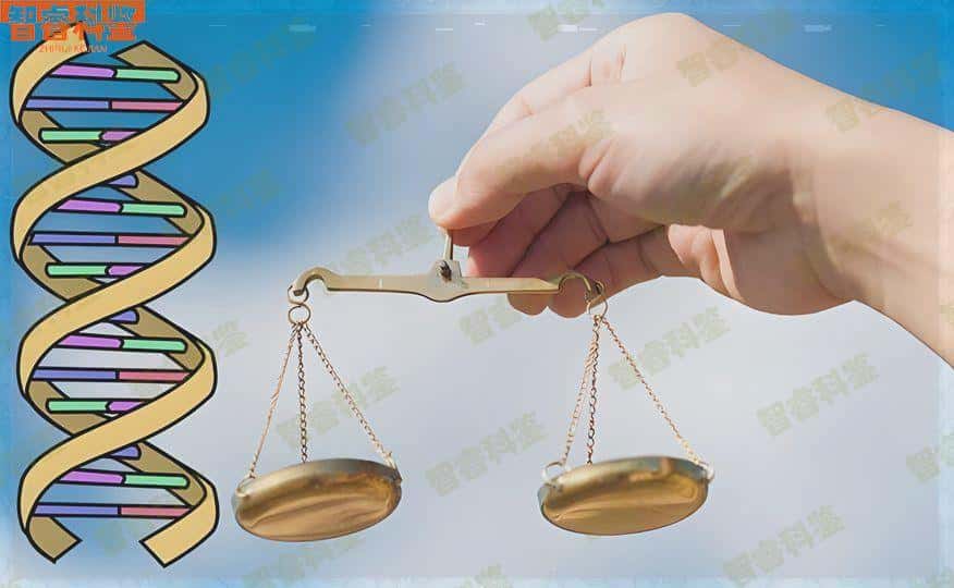 呼伦贝尔海拉尔区市可以做个人亲子鉴定的10个地方