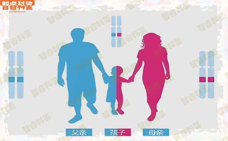 黄南正规亲子鉴定机构名单公示