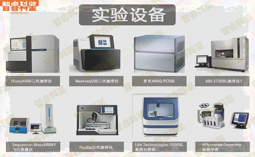 青岛市17家可以做正规亲子鉴定的中心合集