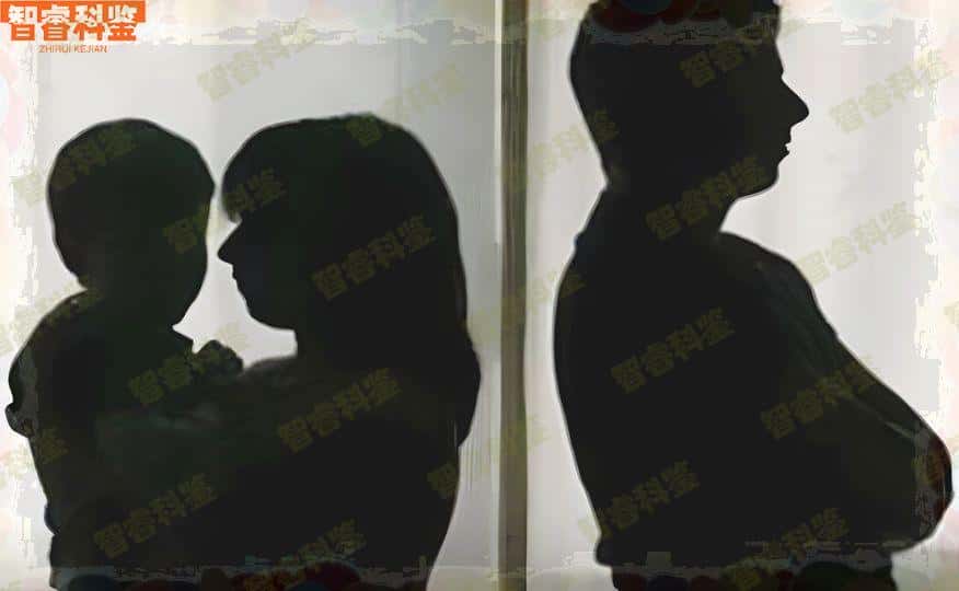 山东济南亲子鉴定中心10家机构大全
