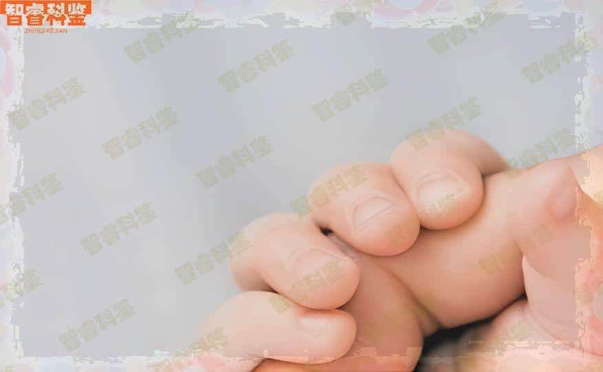 济宁市10所司法亲子鉴定中心