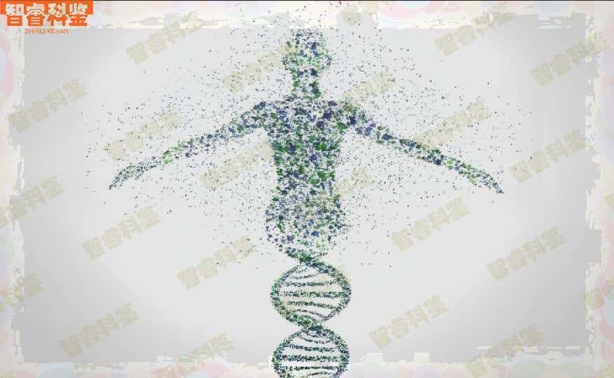 菏泽权威亲子鉴定中心机构
