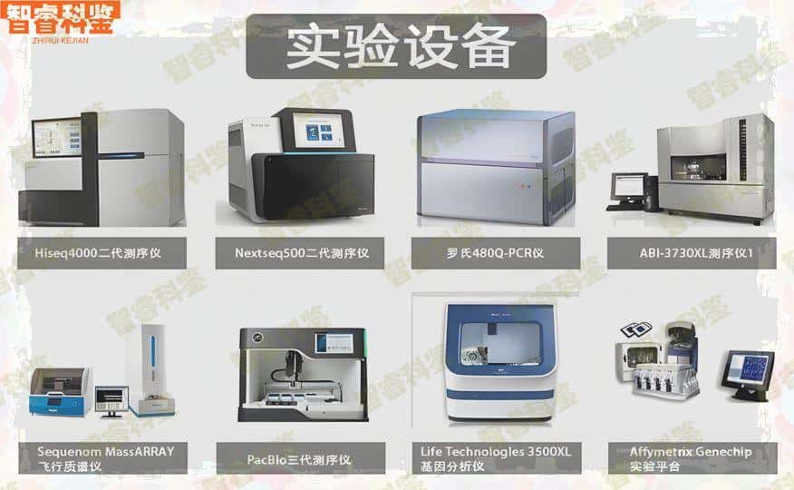 滨州可以做亲子鉴定的正规机构排名