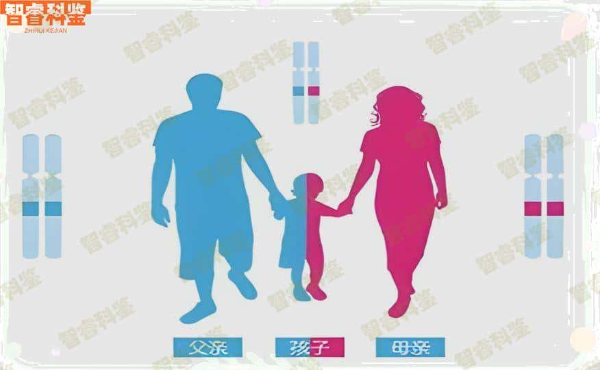 莱芜有做亲子鉴定的吗