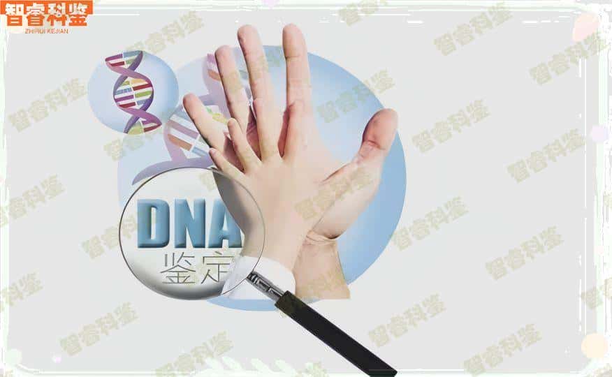 东营可以做亲子鉴定的10个地址