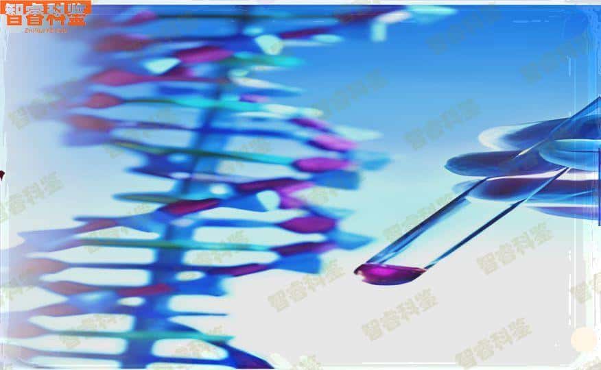 菏泽可以做胎儿亲子鉴定的9个地方