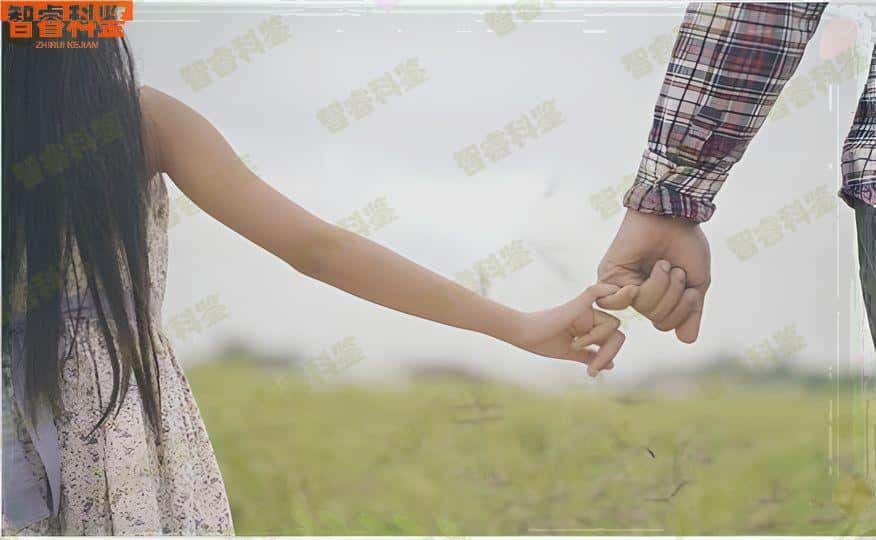高密个人亲子鉴定流程