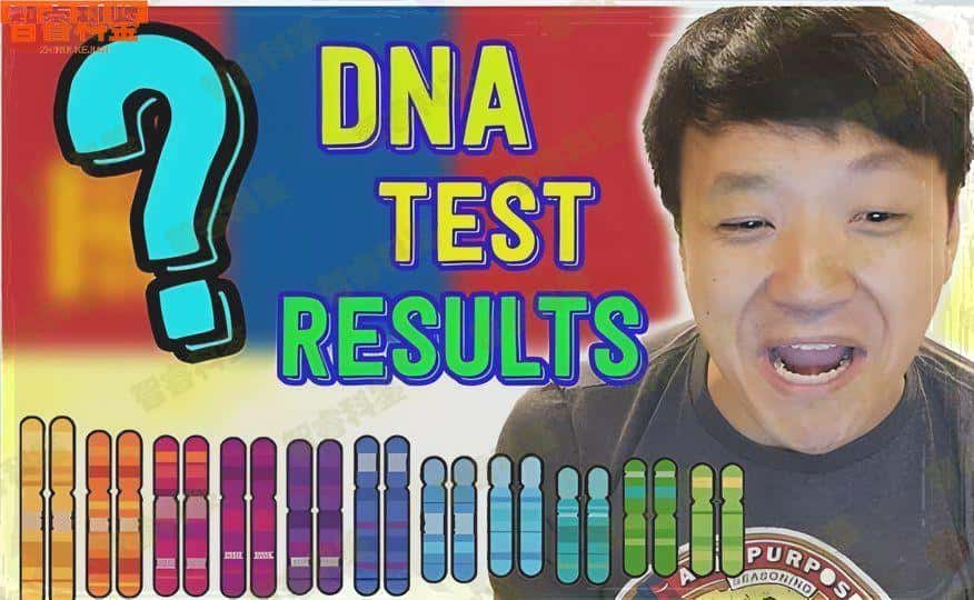 高密正规司法亲子鉴定哪里有