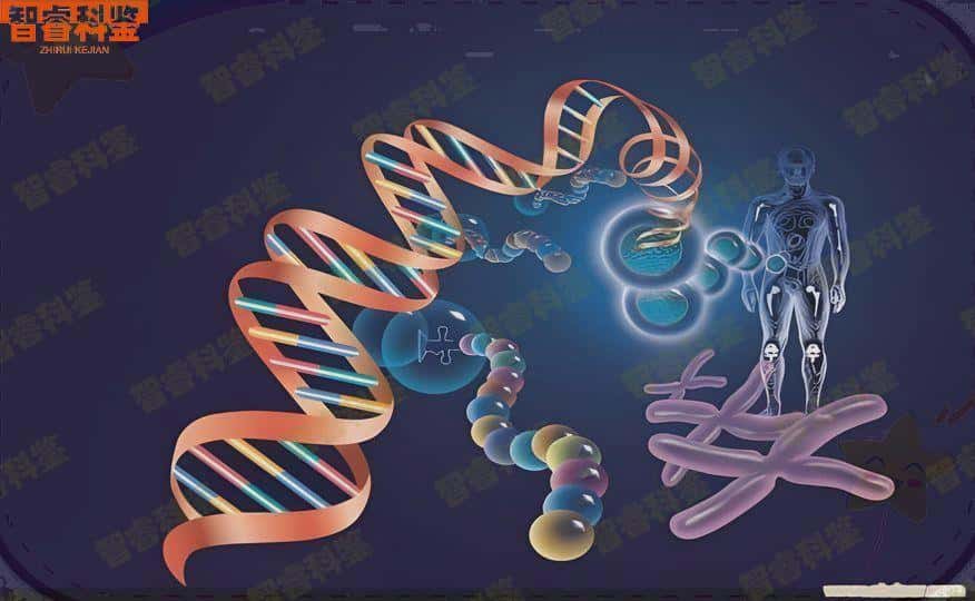 新泰可以做亲子鉴定的正规机构一共15家