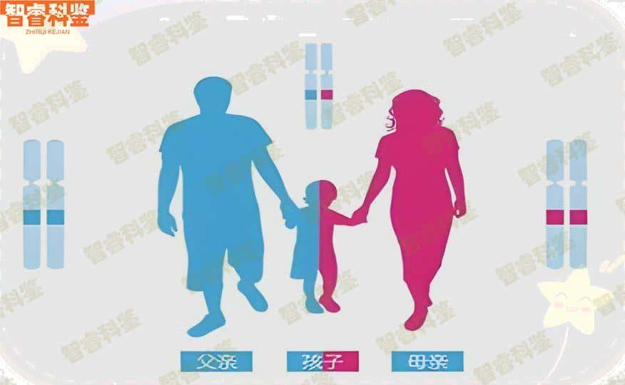 新泰可以做司法亲子鉴定的正规机构