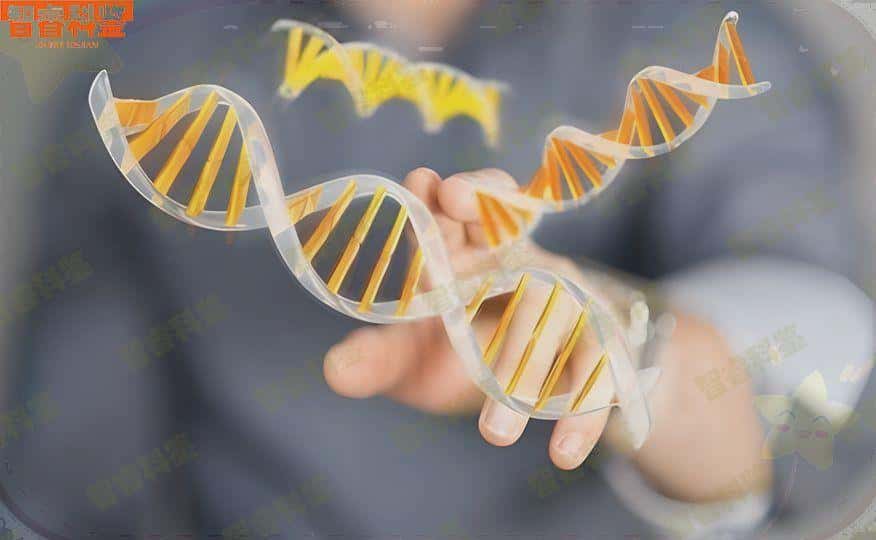 新泰可以做个人亲子鉴定中心机构11家