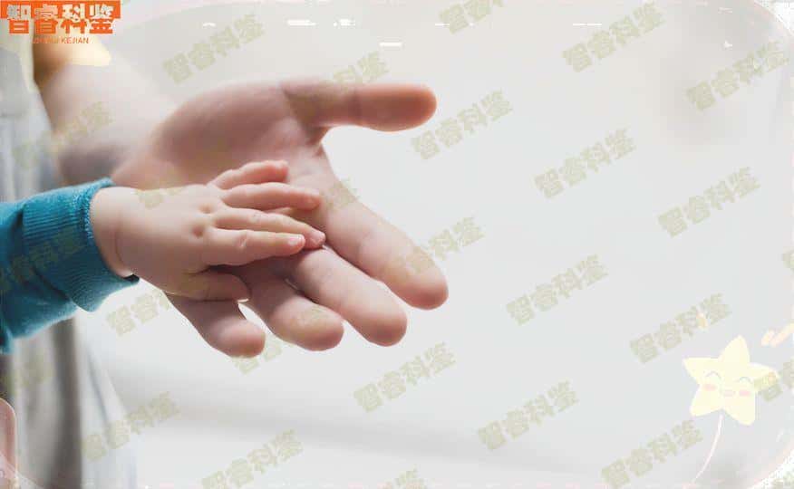 招远亲子鉴定中心地址合集