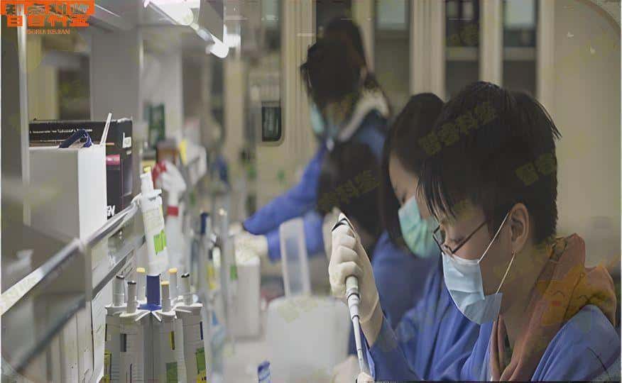 菏泽东明县亲子鉴定流程是如何进行的？
