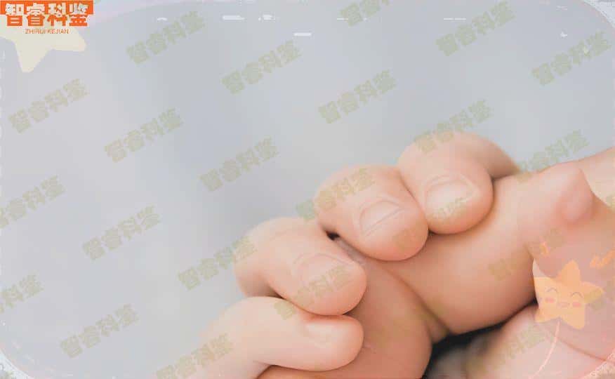 菏泽鄄城县做亲子鉴定要多少钱,菏泽市有几个区几个县
