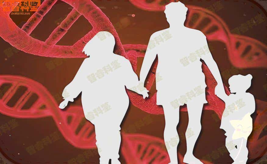 德州齐河县可以做亲子鉴定的8个地方