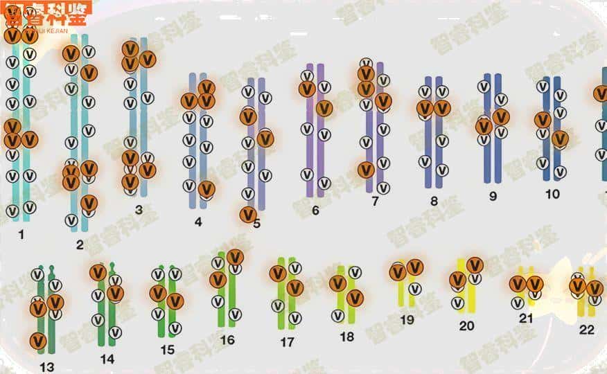 德州可以做孕期亲子鉴定的9个地方