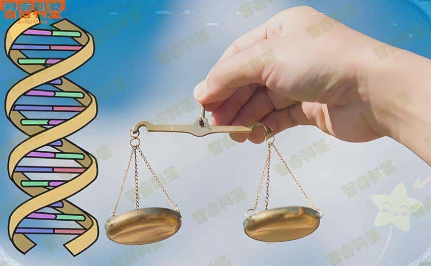 临邑上户口亲子鉴定机构