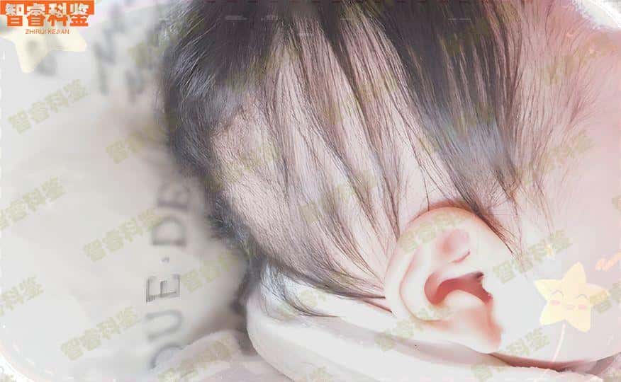 德州市个人亲子鉴定中心机构地址一览