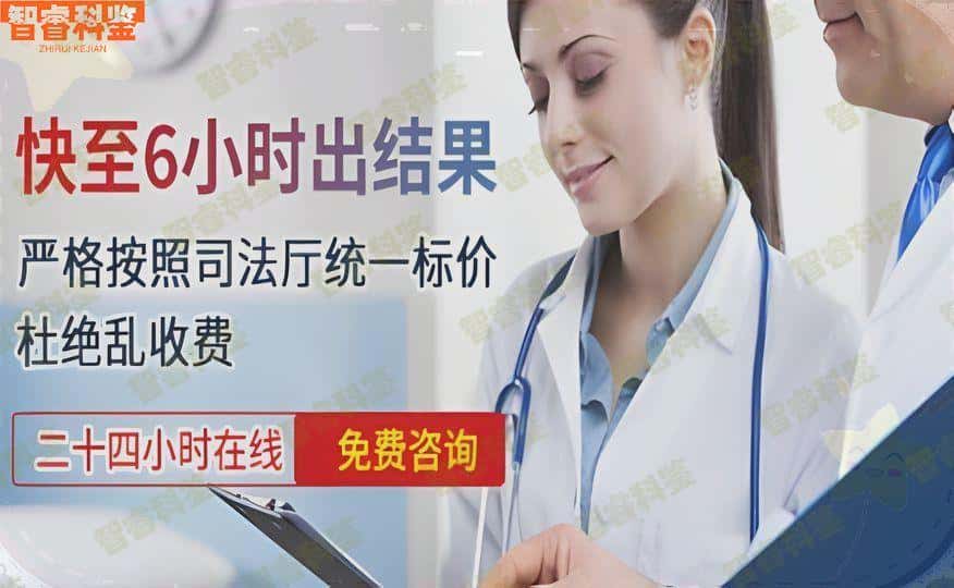 宁津县地区哪里能做DNA亲子鉴定：12家亲子鉴定中心机构地址一览