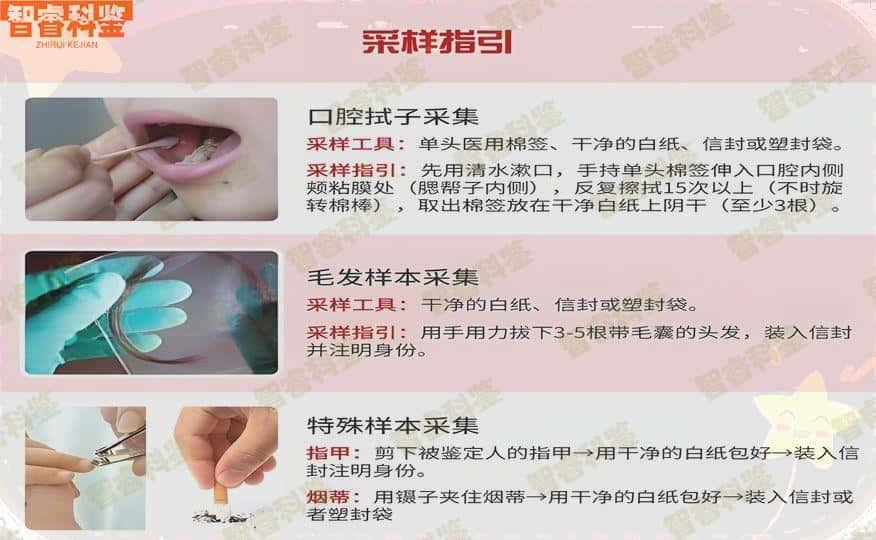 高唐亲子鉴定要什么手续