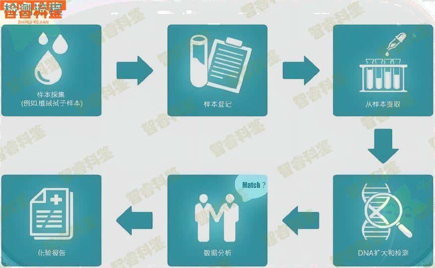 聊城孕期亲子鉴定中心