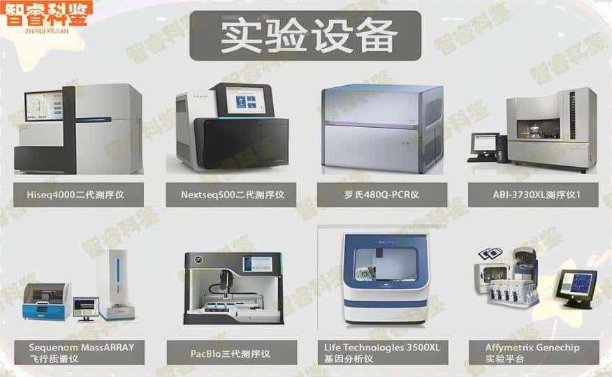 聊城亲子鉴定中心详细地址和联系方式