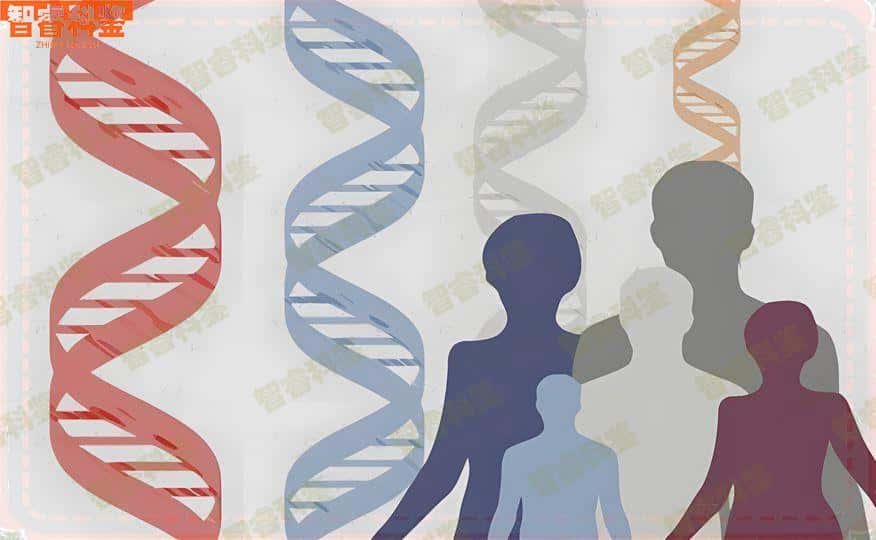 聊城正规孕期亲子鉴定办理中心地址一览