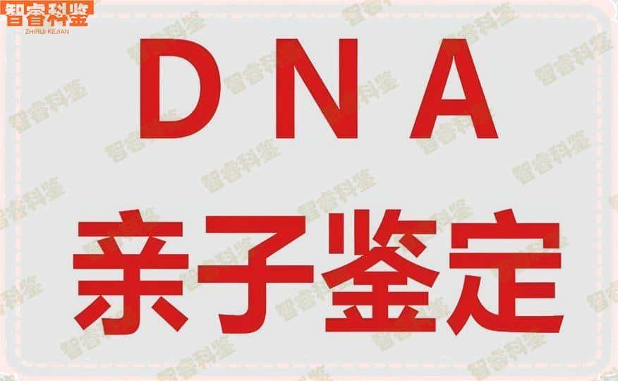 聊城阳谷县权威个人亲子鉴定中心10家大全