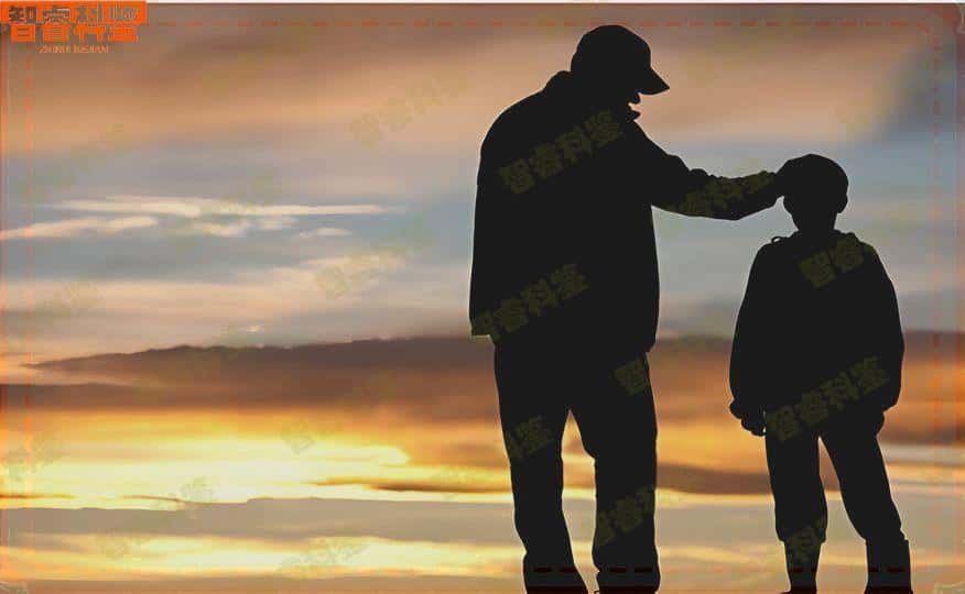 高平胎儿亲子鉴定中心推荐：2024年度十大专业机构与地址指南