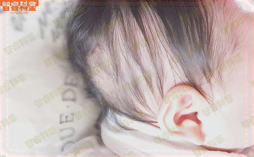昌邑DNA亲子鉴定地址