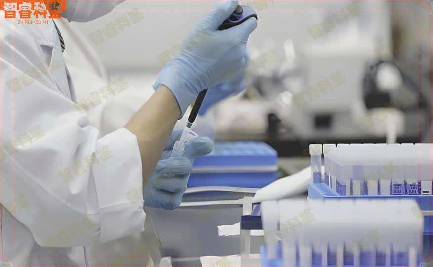 菏泽可以做权威亲子鉴定的9个地方