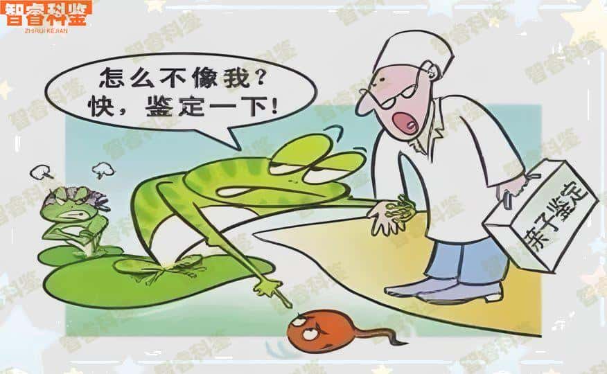 太原哪里可以做亲子鉴定 我们全帮你整理好了