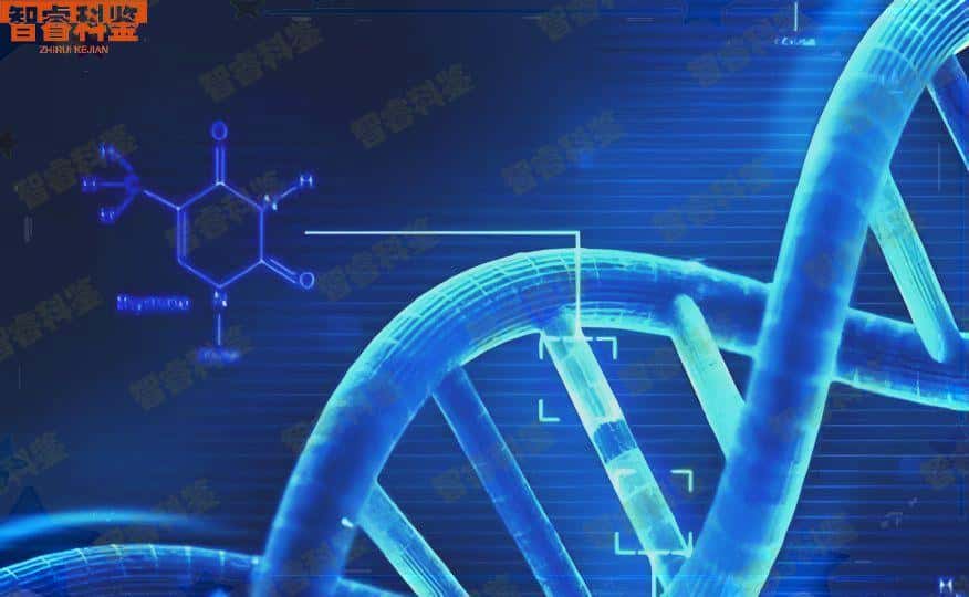 临汾亲子鉴定中心提供24小时加急