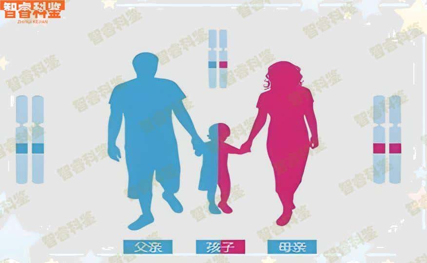 临汾市什么机构可以做个人亲子鉴定