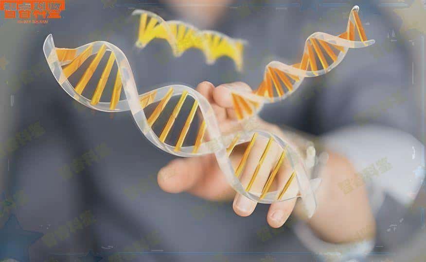 临汾可以做DNA亲子鉴定的正规医院