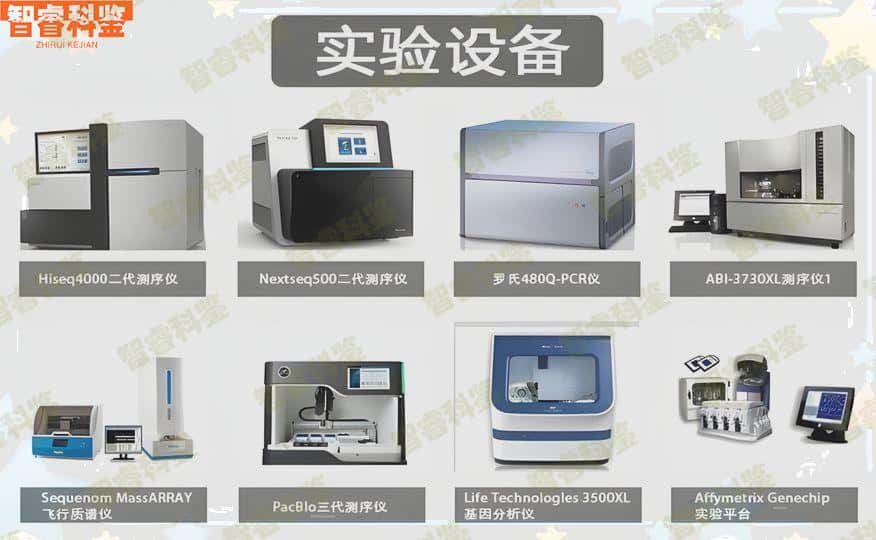 西安亲子鉴定正规检测中心