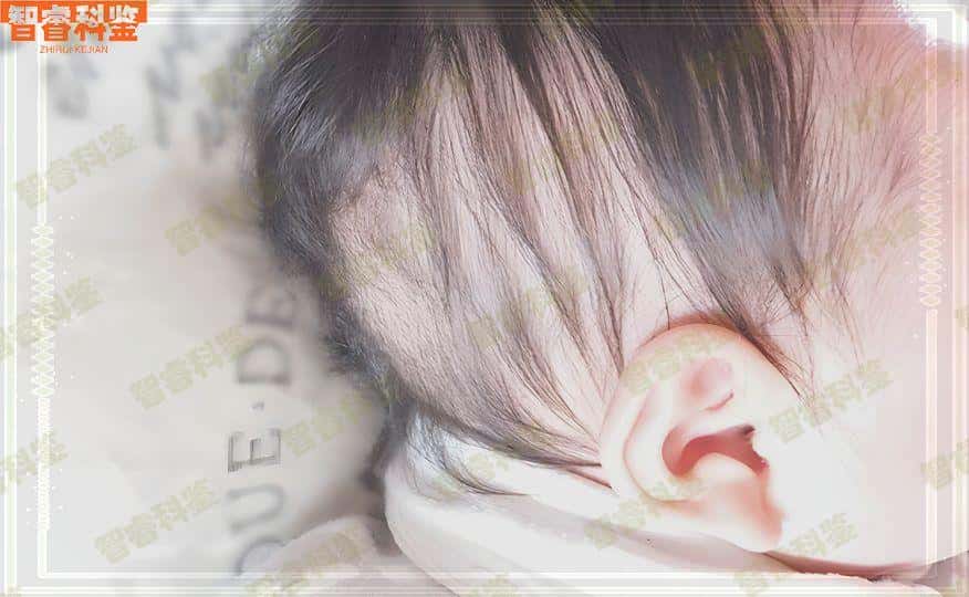 宜宾7家正规做个人亲子鉴定机构地址一览