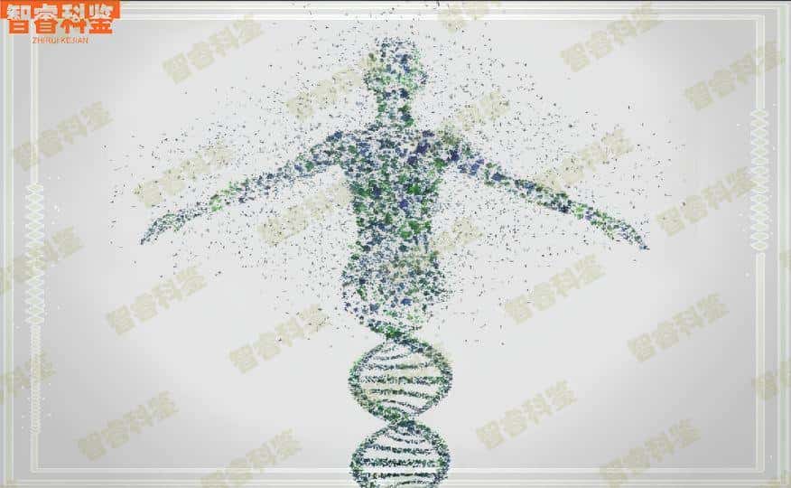 自贡十家个人亲子鉴定机构一览