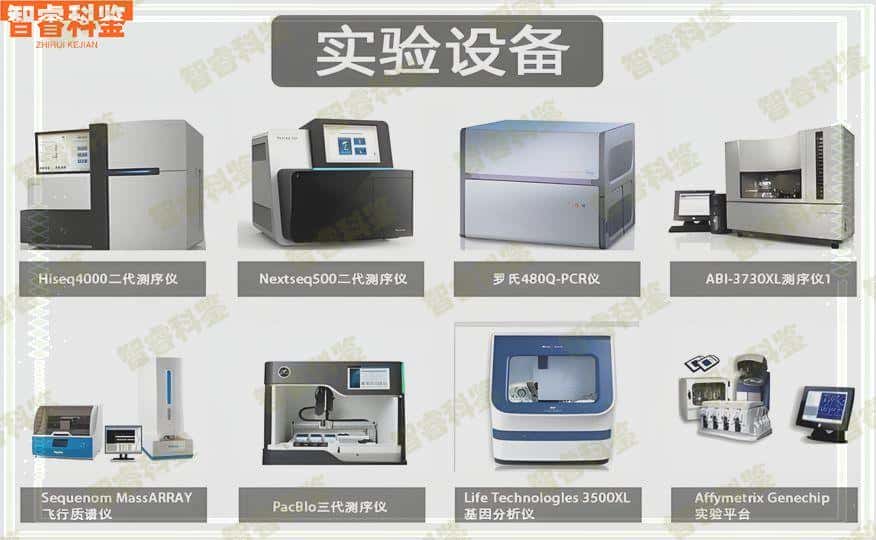 嘉兴可以做亲子鉴定的15个地方