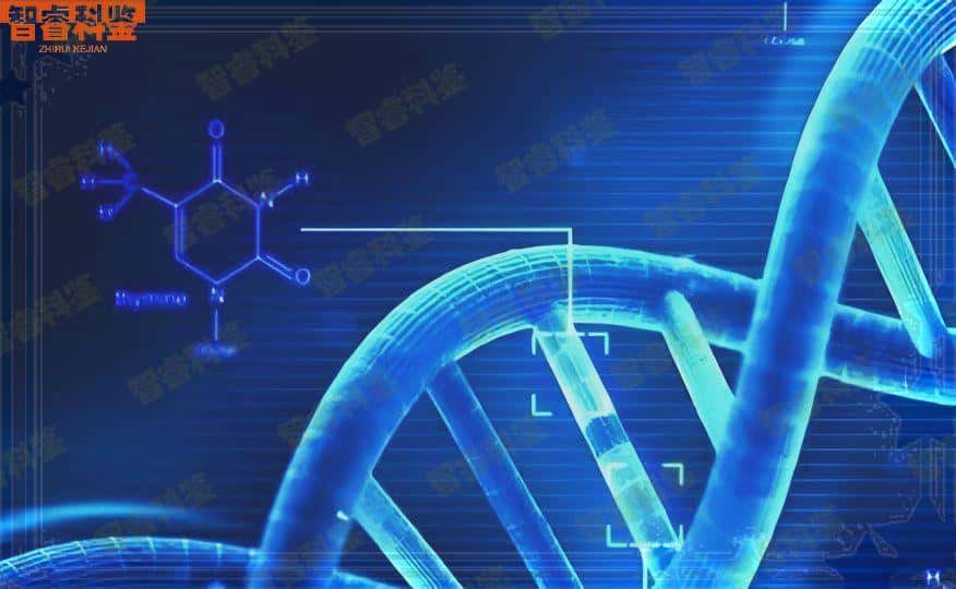 南充可以做上户口亲子鉴定的正规机构