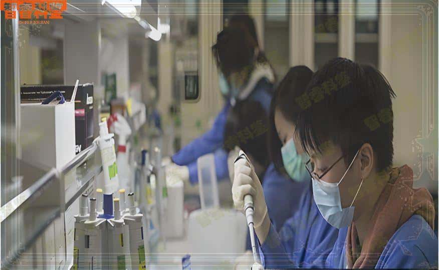 攀枝花DNA亲子鉴定在哪做,流程和所需费用,材料