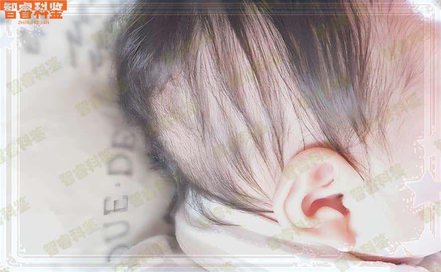 雅安市司法亲子鉴定中心收费价目表一览