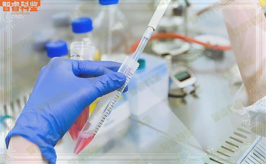 巴中7家正规做亲子鉴定机构地址一览
